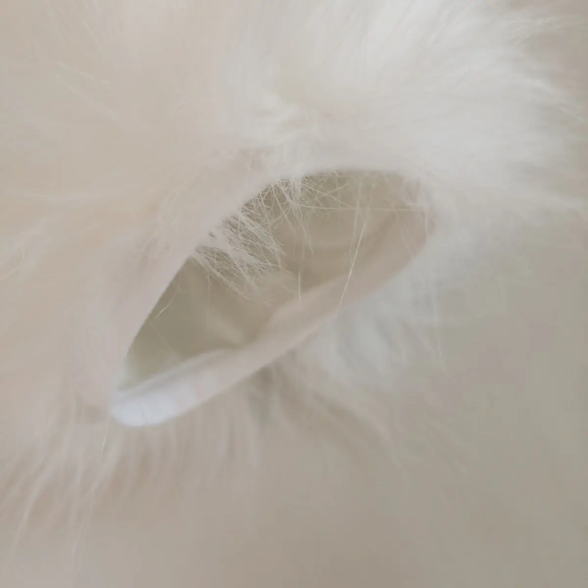 furry color furry claws three finger dragon claws - Image 4