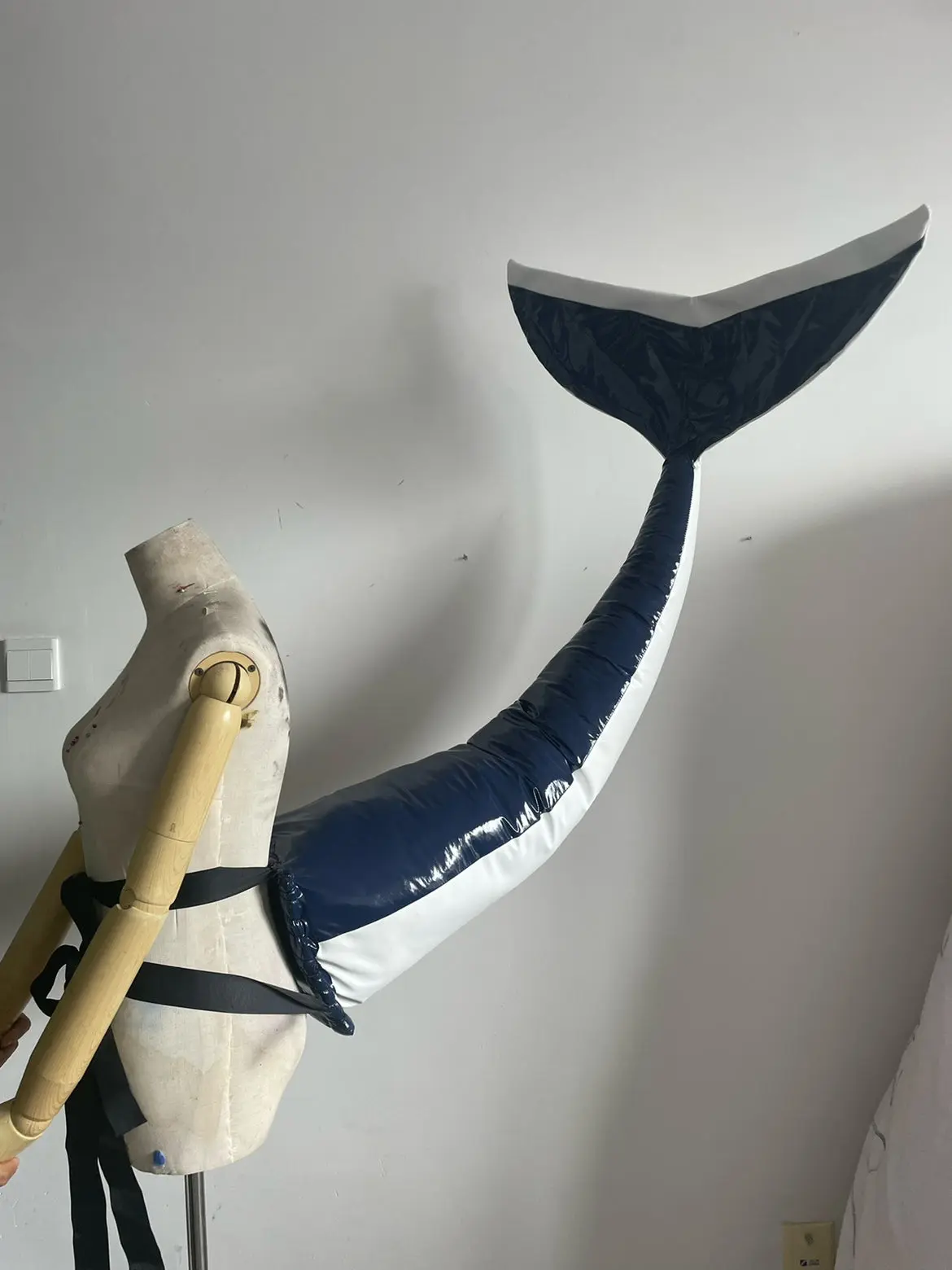 killer whale tail - Image 3