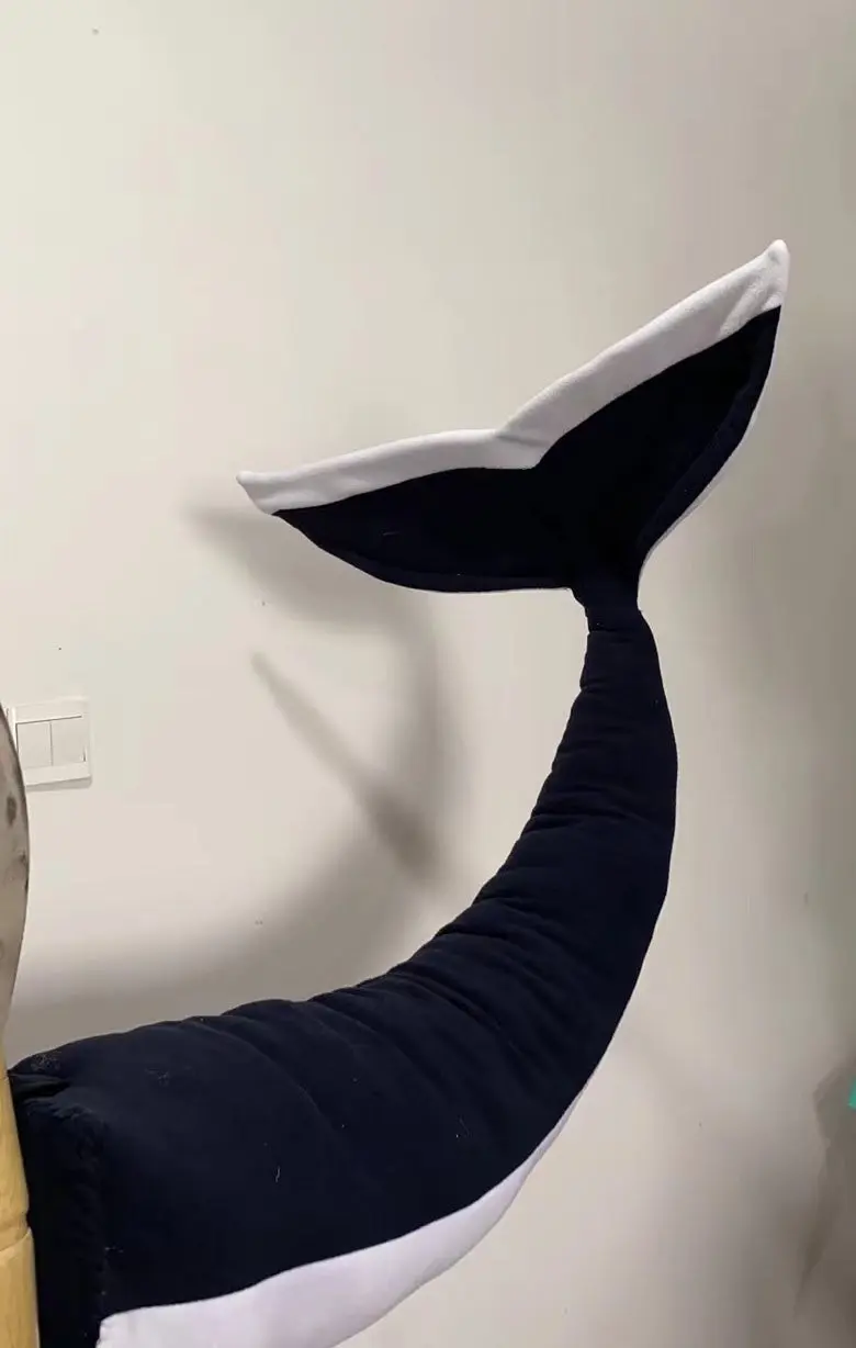 killer whale tail - Image 4